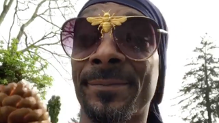 Snoop Dogg, to a pinecone: "Somebody tell me what this is? A who? A pinecone?”